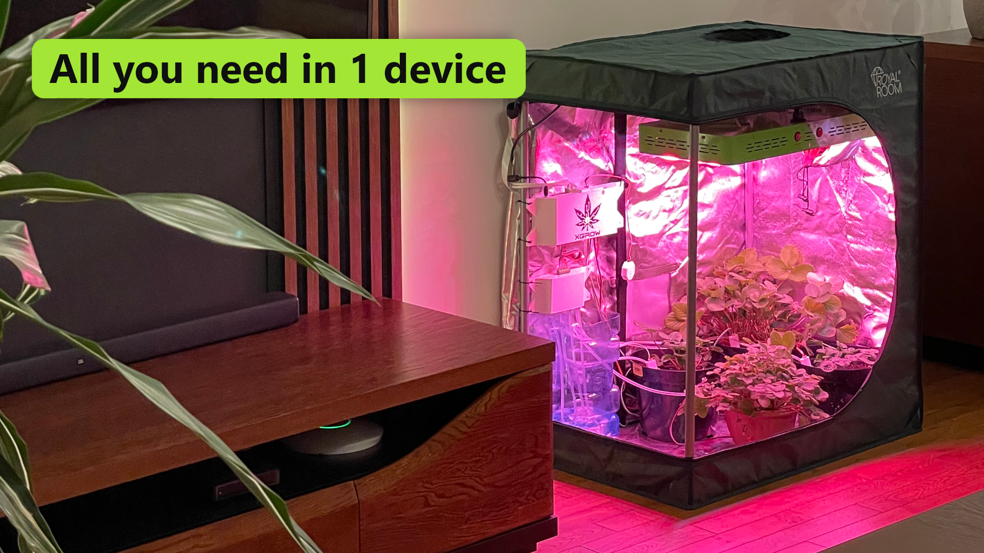 All you need in 1 device