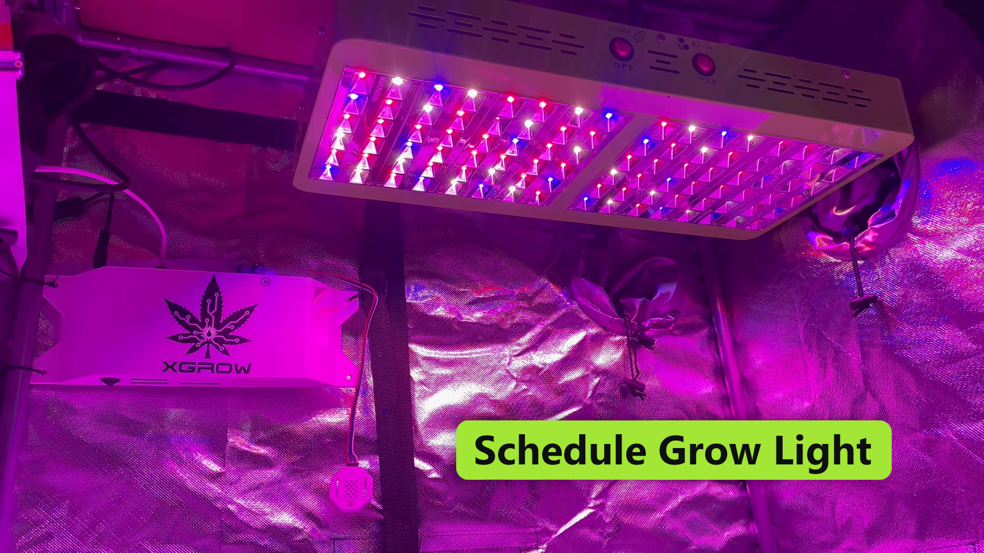 Schedule Grow Light
