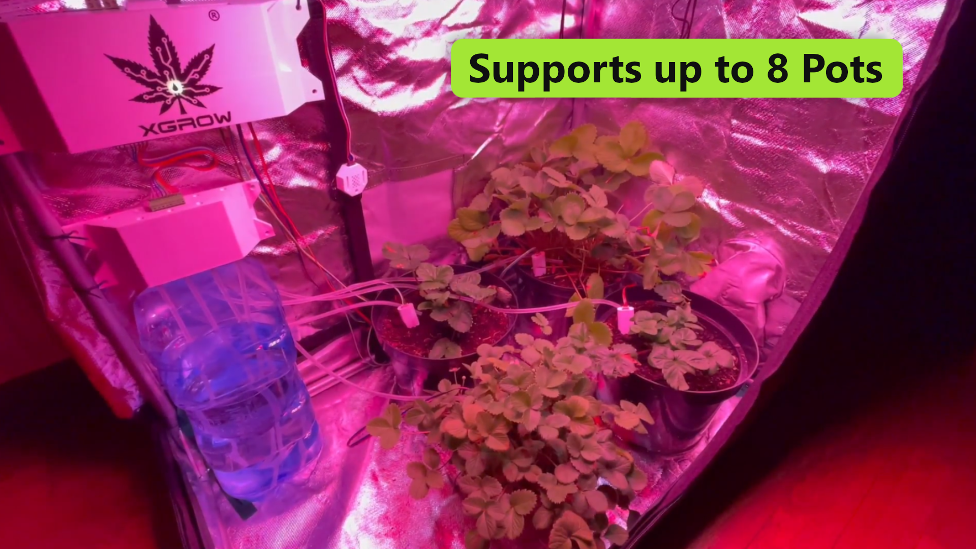 Supports up to 8 pots